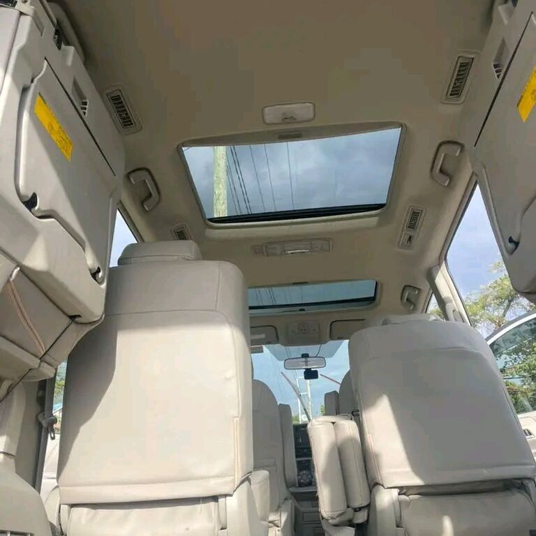 Makucha Ya Simba Tours