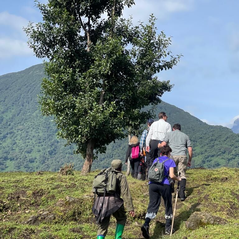 Virunga Ecotours