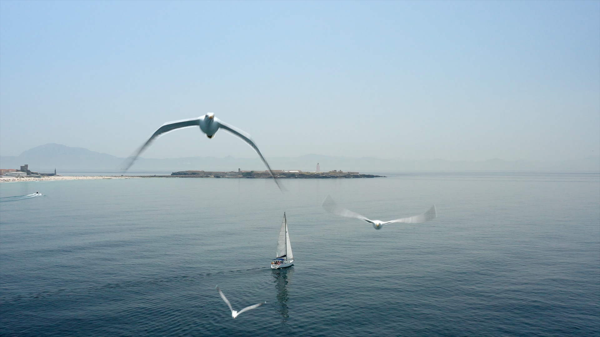 TARIFA SAILING EXPERIENCES