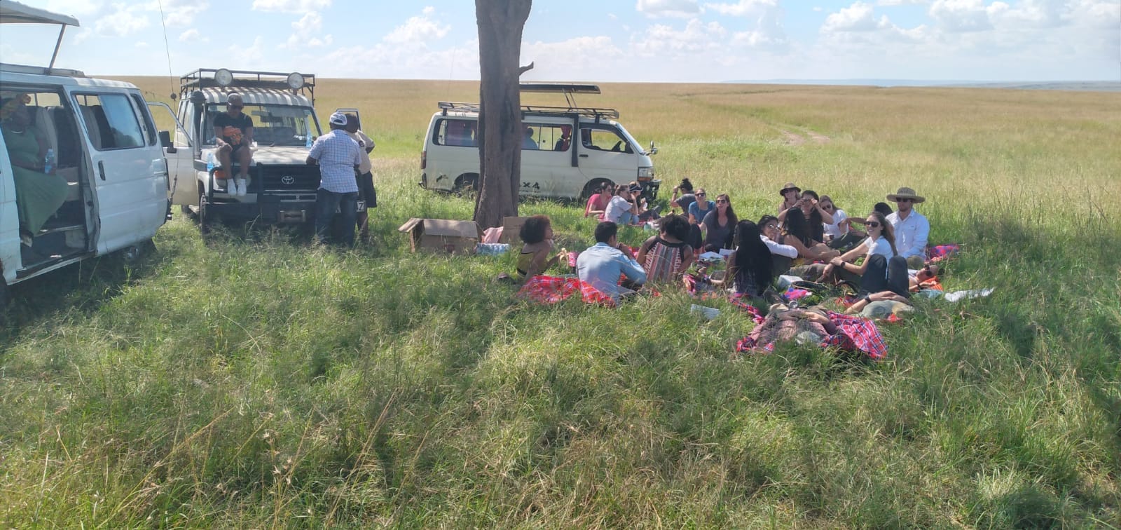 Petkins Tours and Safaris