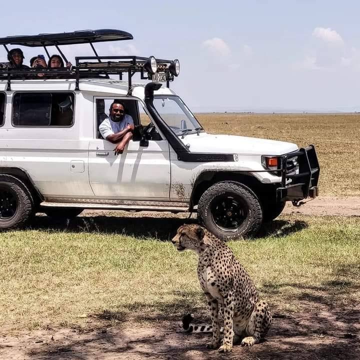 Petkins Tours and Safaris