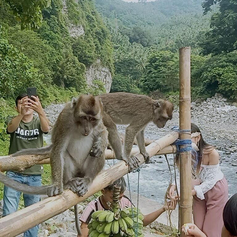 Travis travel and tours