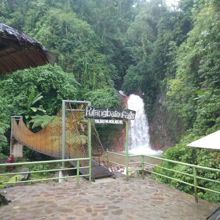 Travis travel and tours