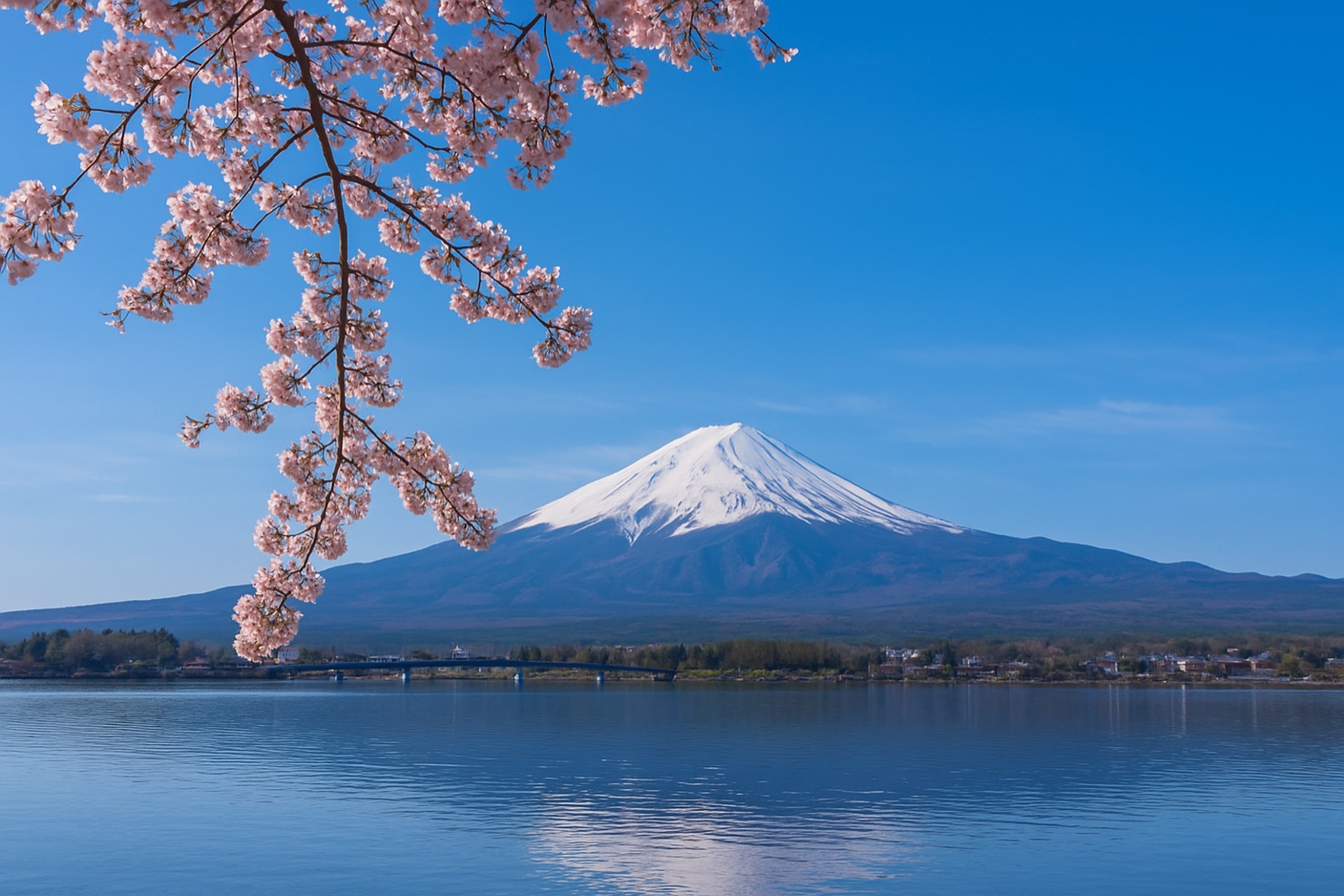 Mount Fuji Private Tour
