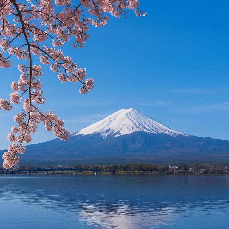 Mount Fuji Private Tour