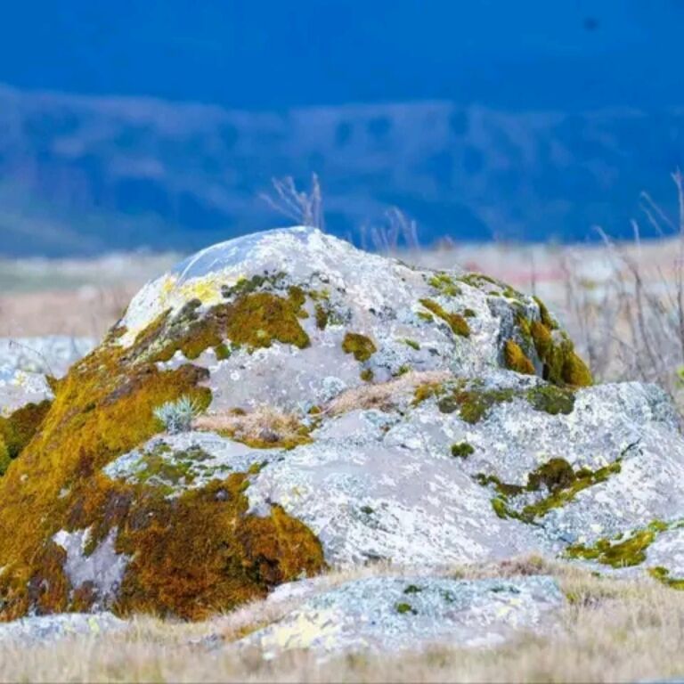 Nature Ethiopia Tours