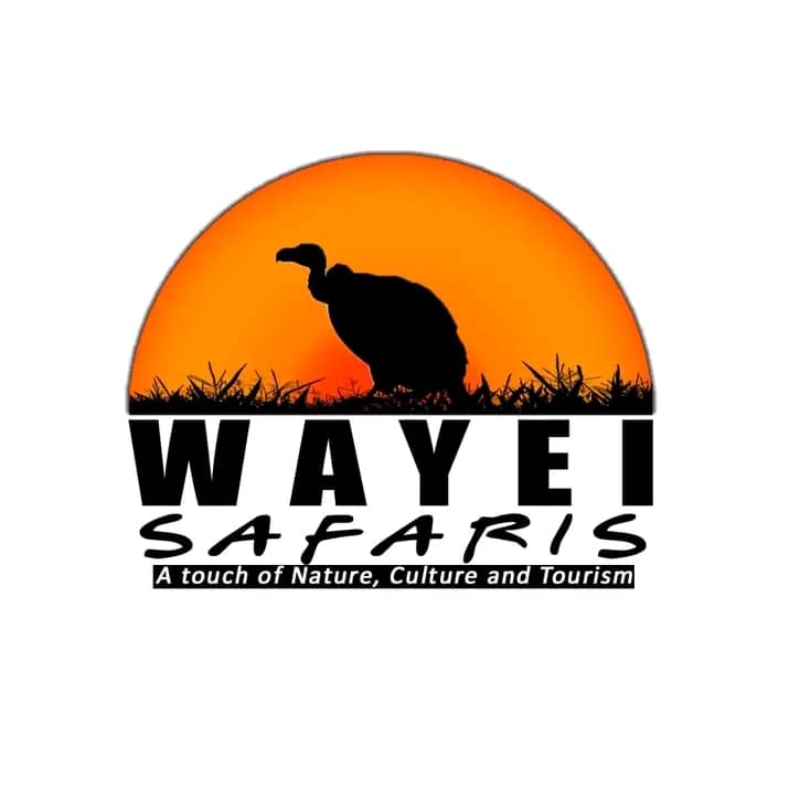 Wayei Safaris