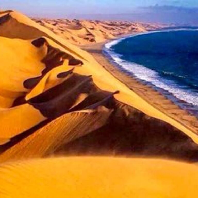 Exquisite Tours and Safaris
