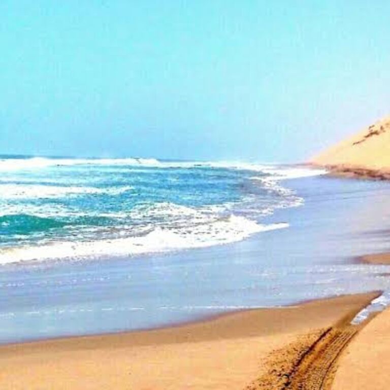Exquisite Tours and Safaris