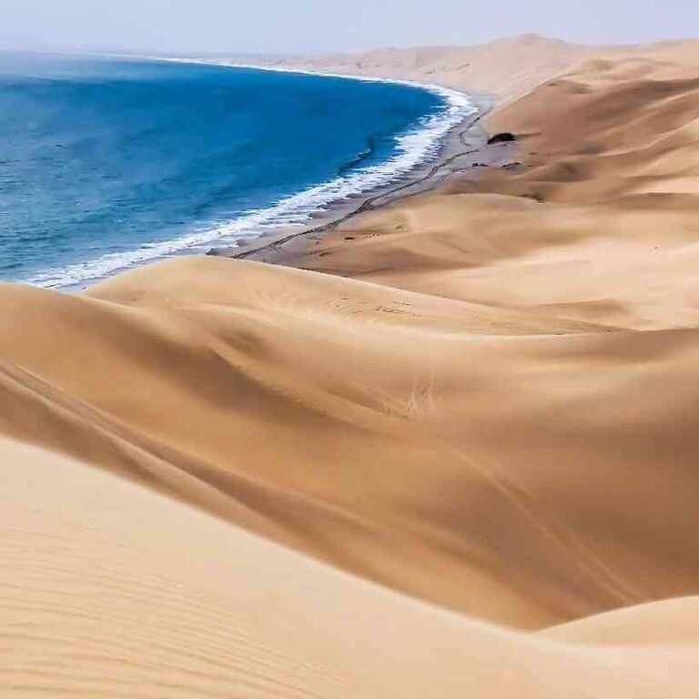 Exquisite Tours and Safaris