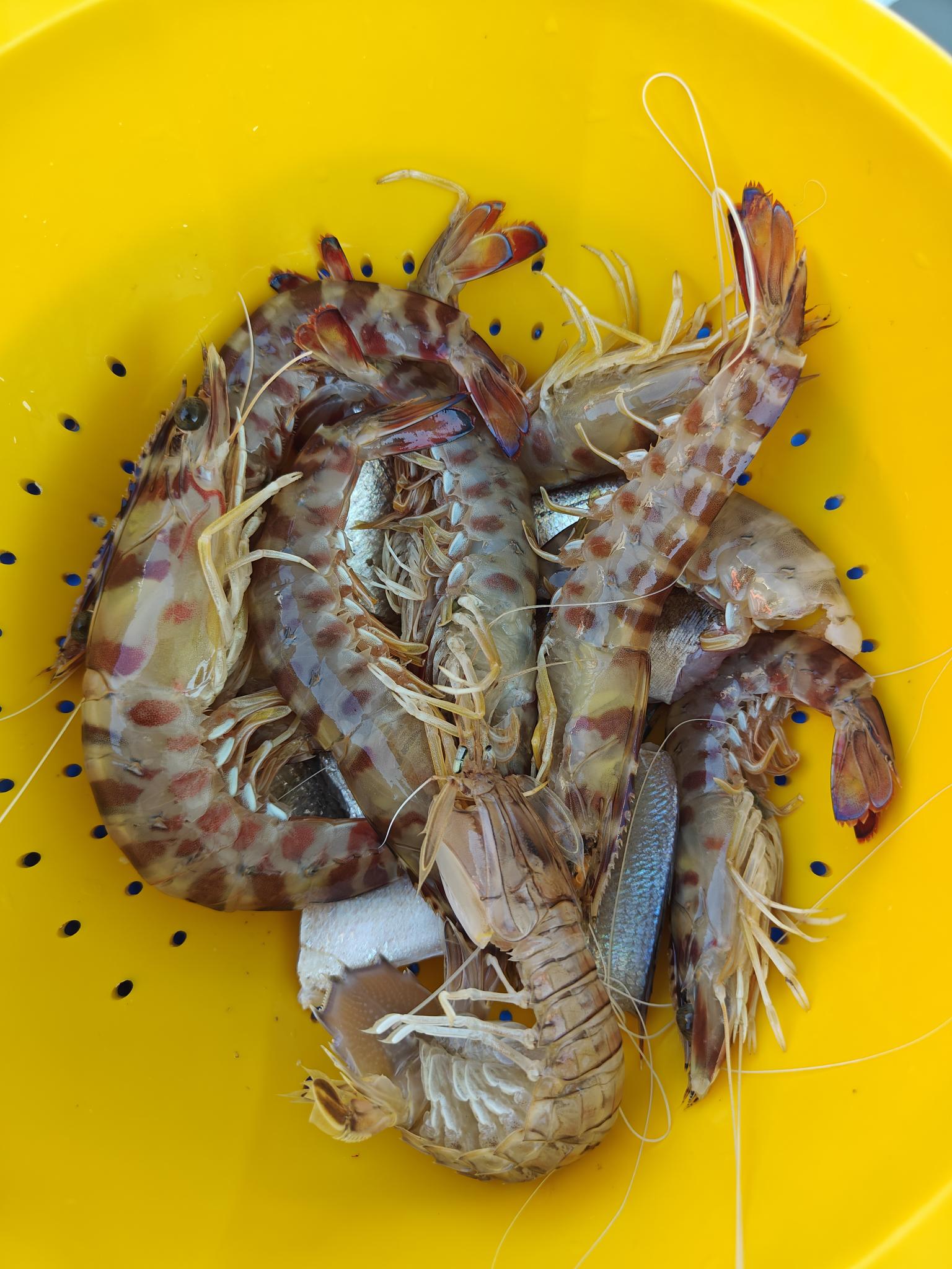 Cefalù Pescaturismo Melissa