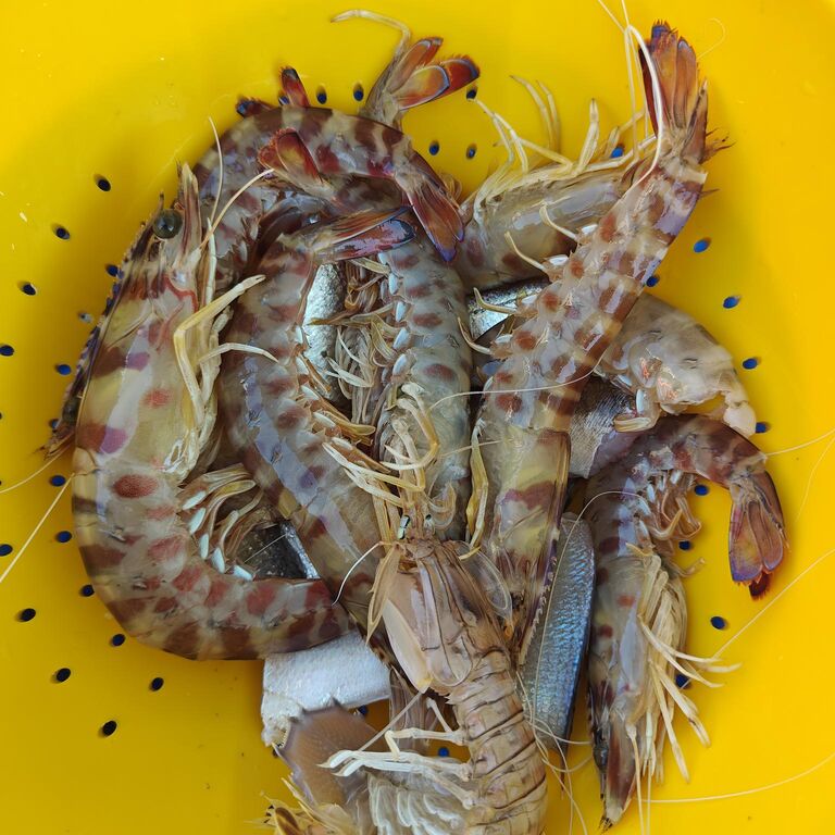 Cefalù Pescaturismo Melissa
