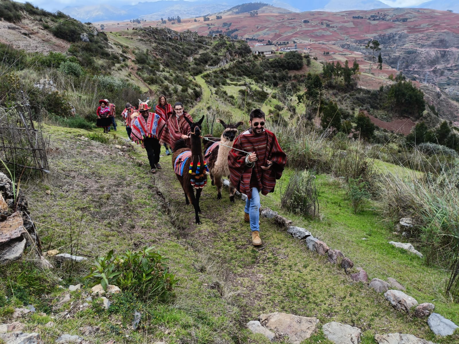 The Llama & Alpaca Experience