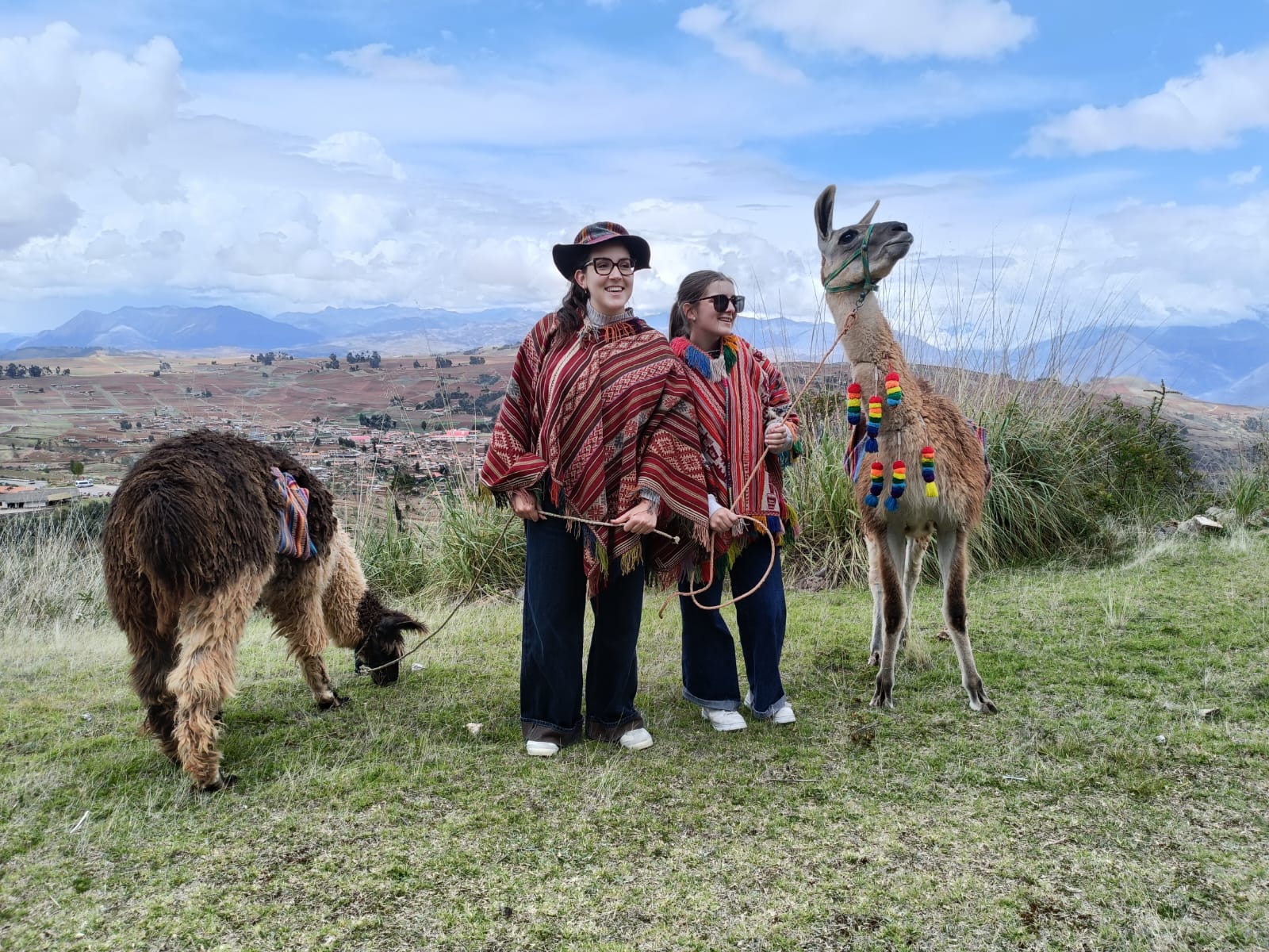 The Llama & Alpaca Experience