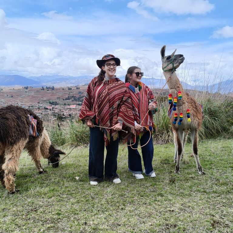 The Llama & Alpaca Experience
