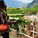 The Llama & Alpaca Experience
