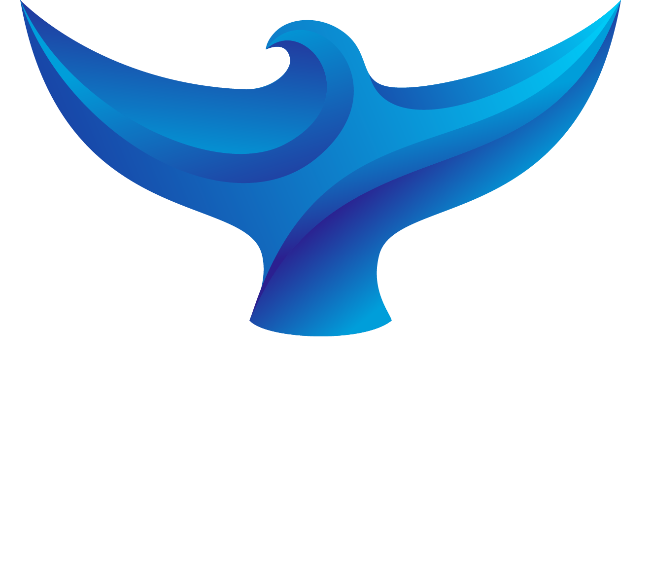 Yachting Archimede