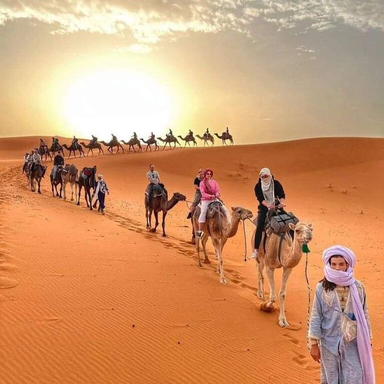 Camel Ride Trips
