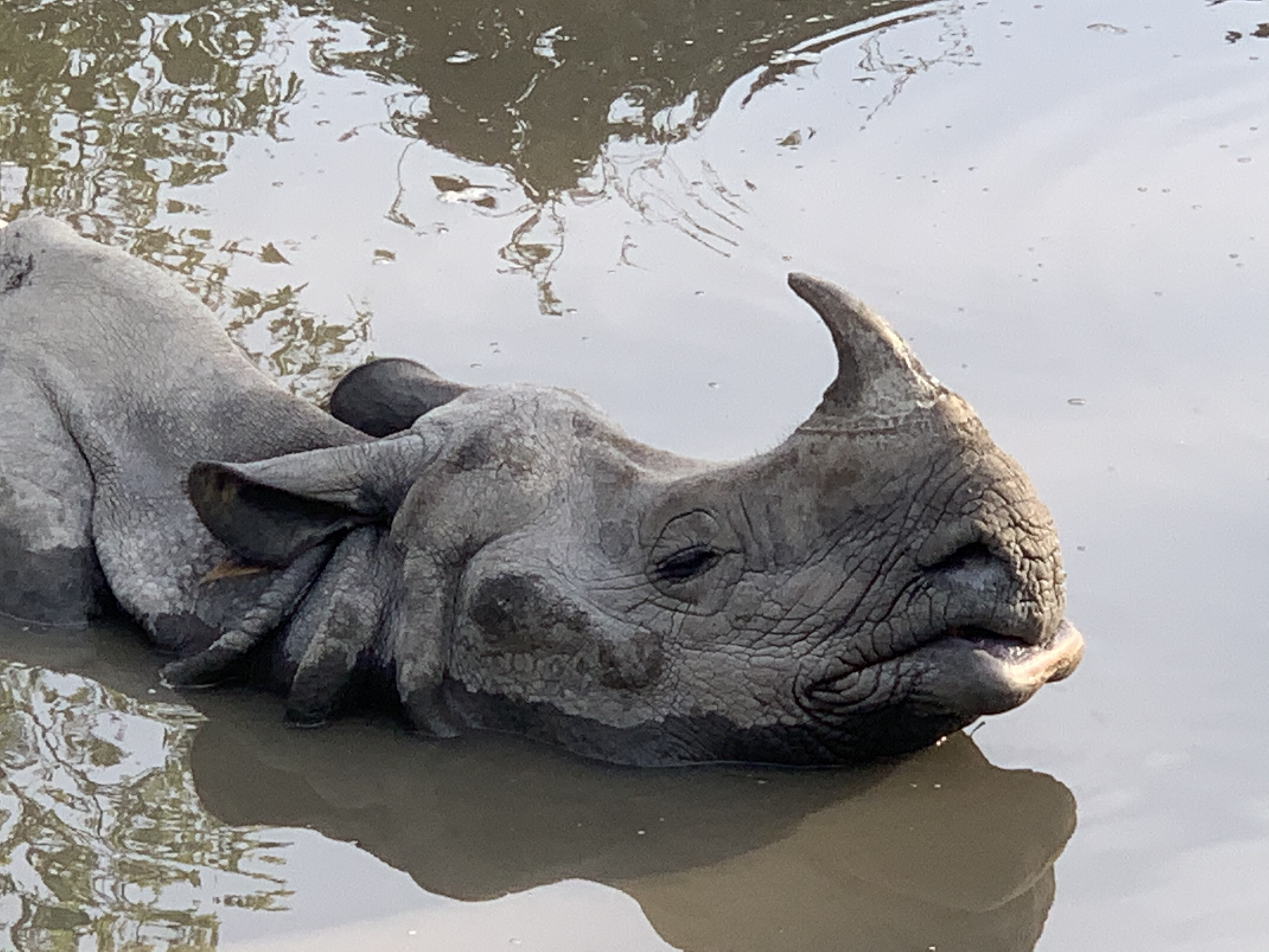 Lemon Tree Adventure Nepal