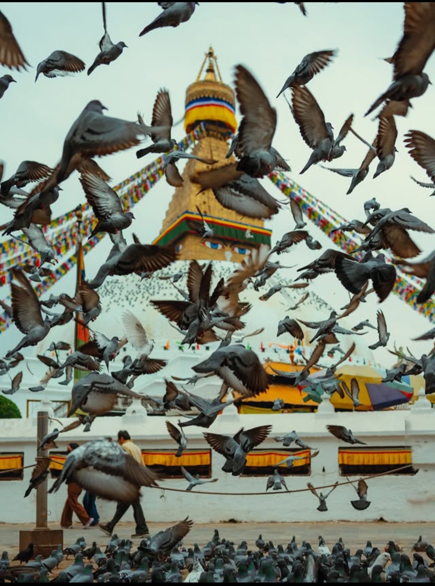 Tatvaabodh expeditions