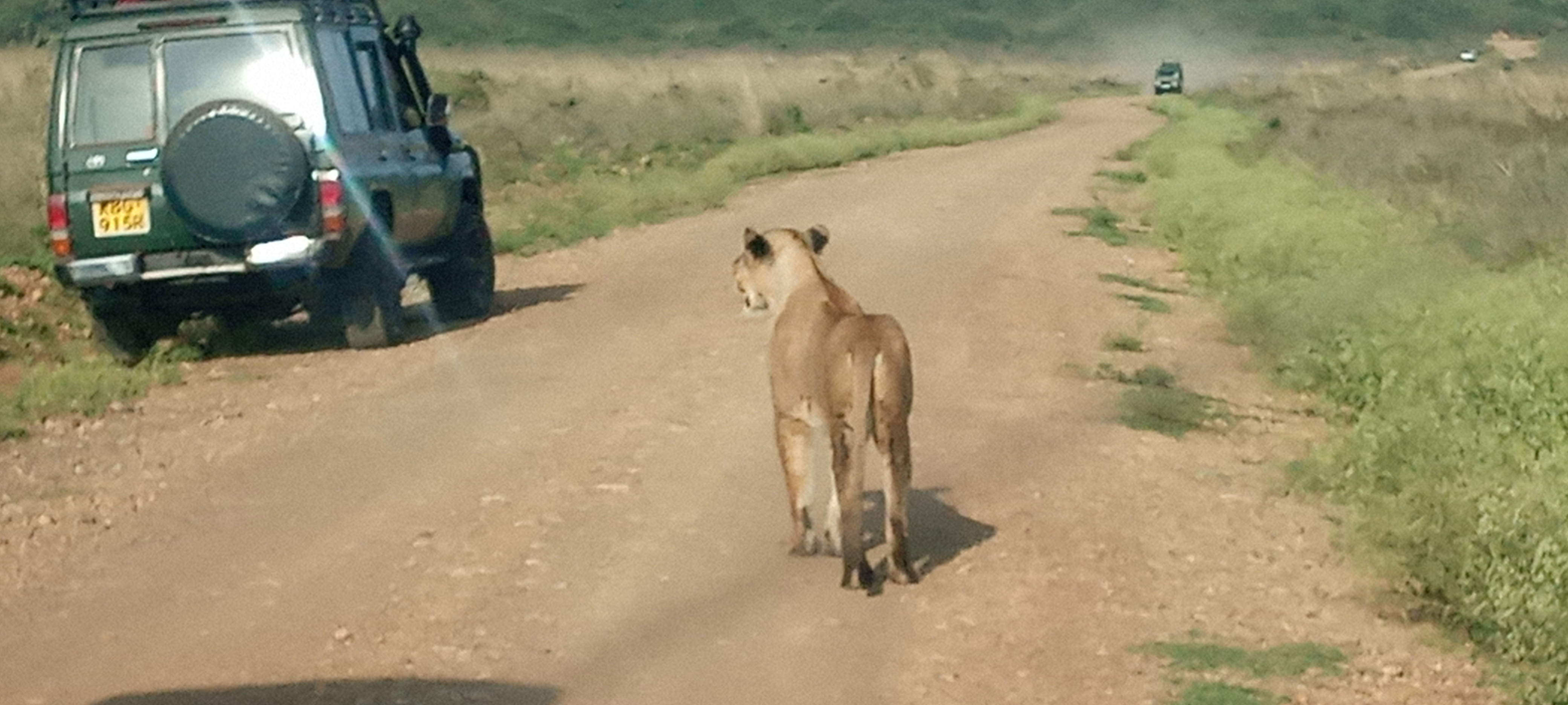 Afrika sights and adventures