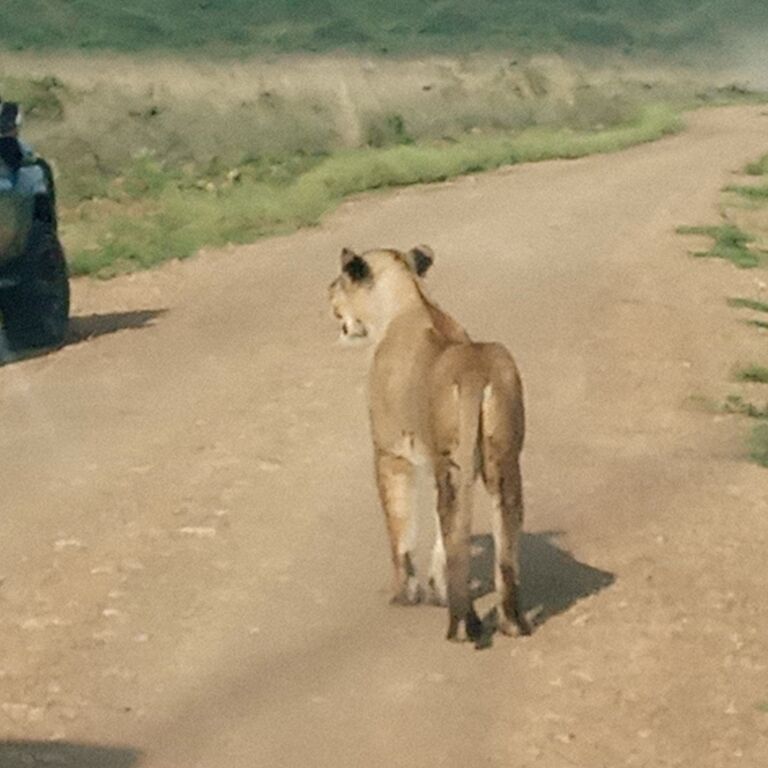 Afrika sights and adventures