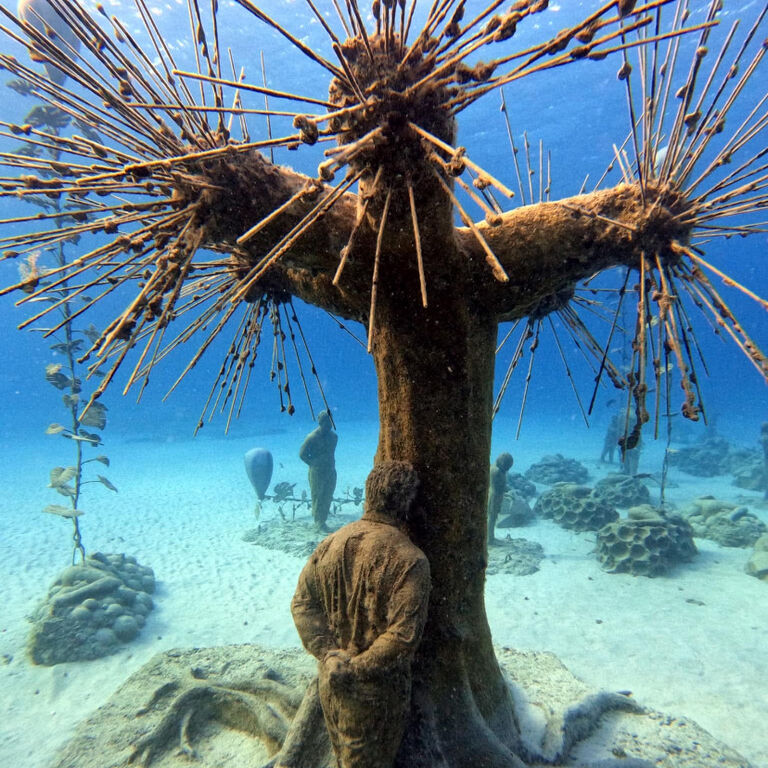 Ocean view diving