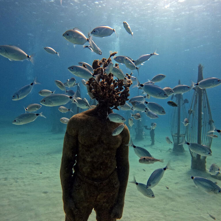 Ocean view diving
