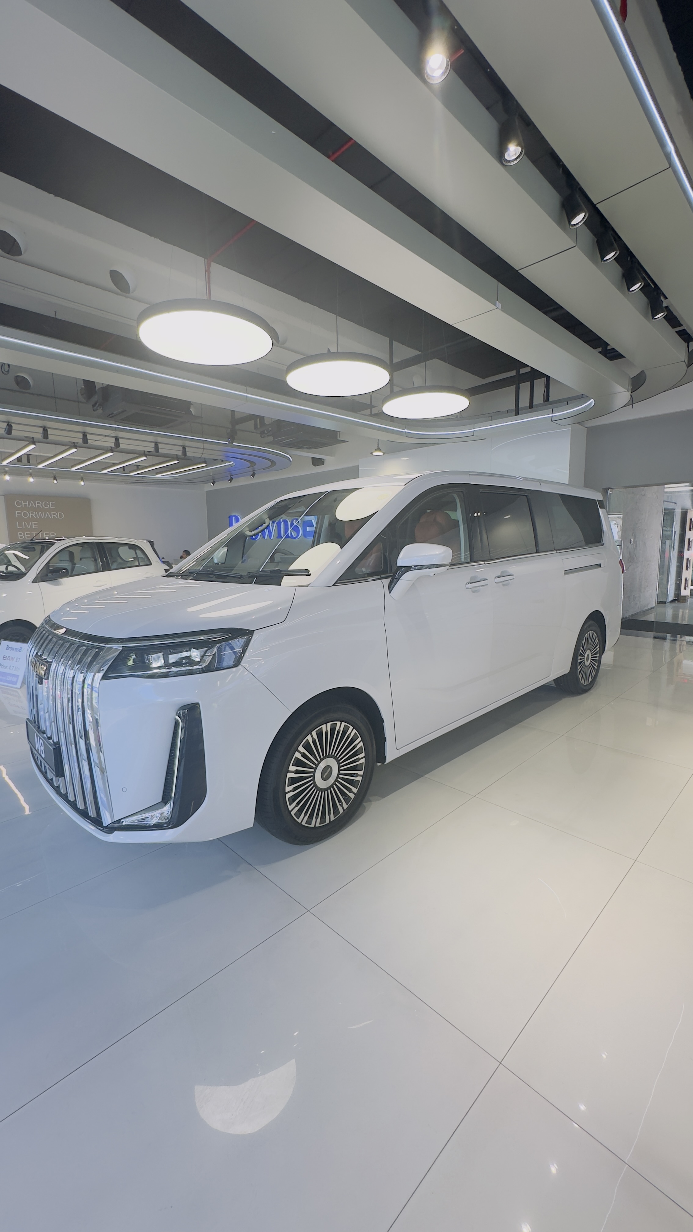 B-Bear Luxury Travels