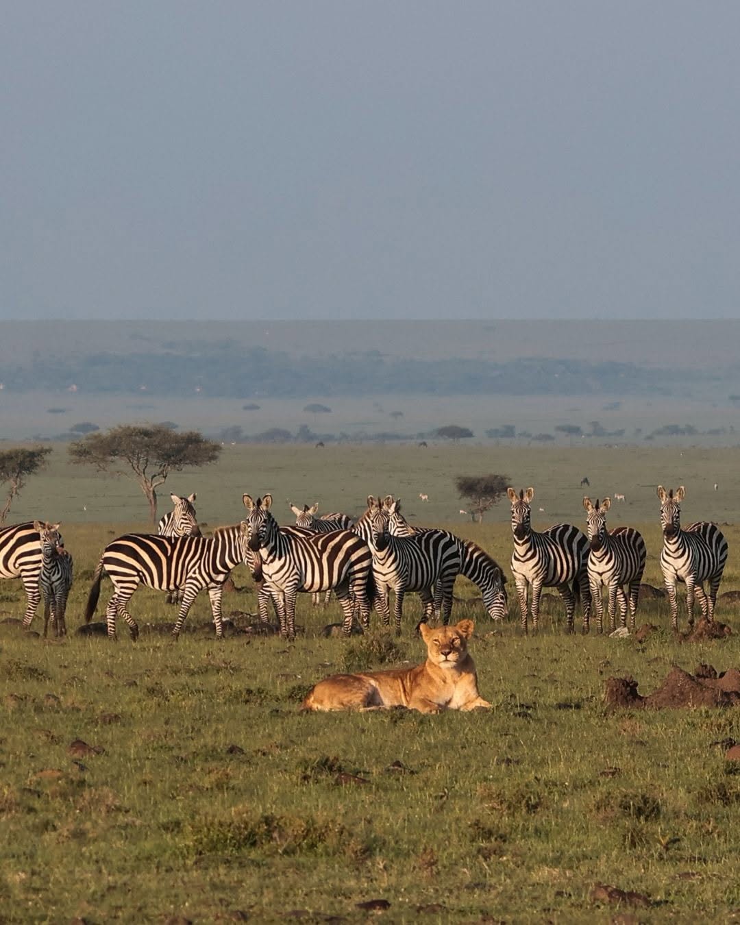 Untamed Routes Africa