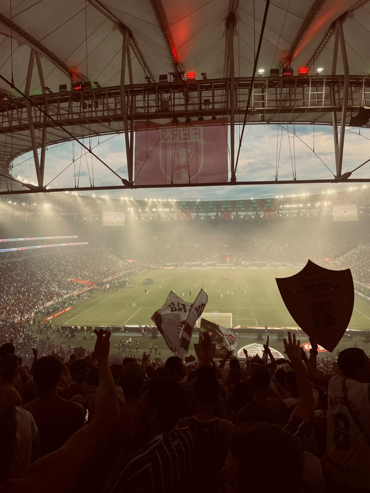 Maracanã Stadium Tour in Rio