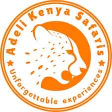 Adeli Kenya Safaris Limited