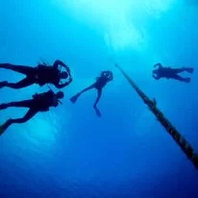 Mega Dive