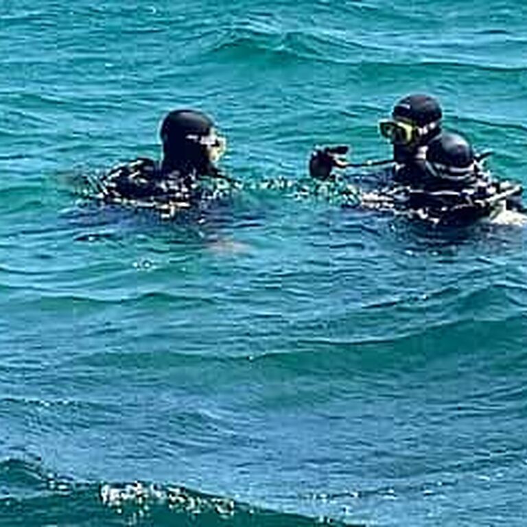 Mega Dive