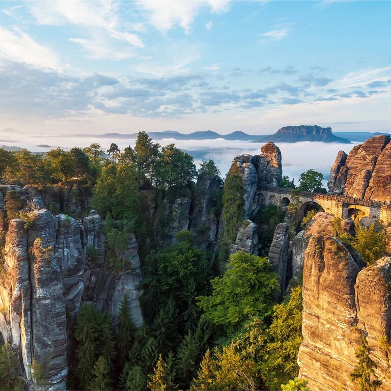 Discover Bohemia Tours