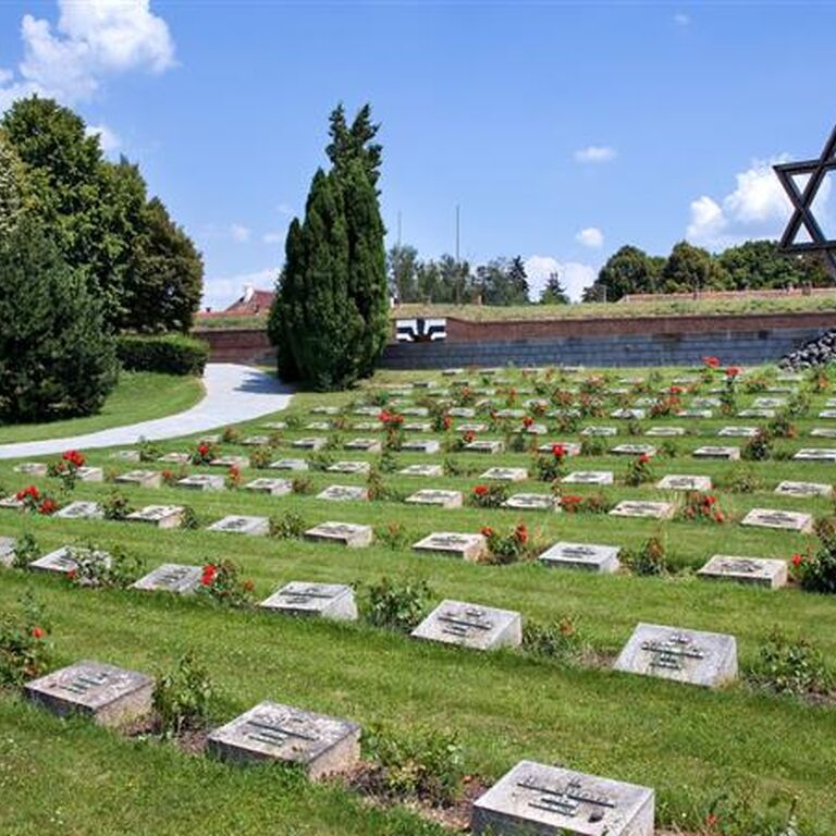 Discover Bohemia Tours