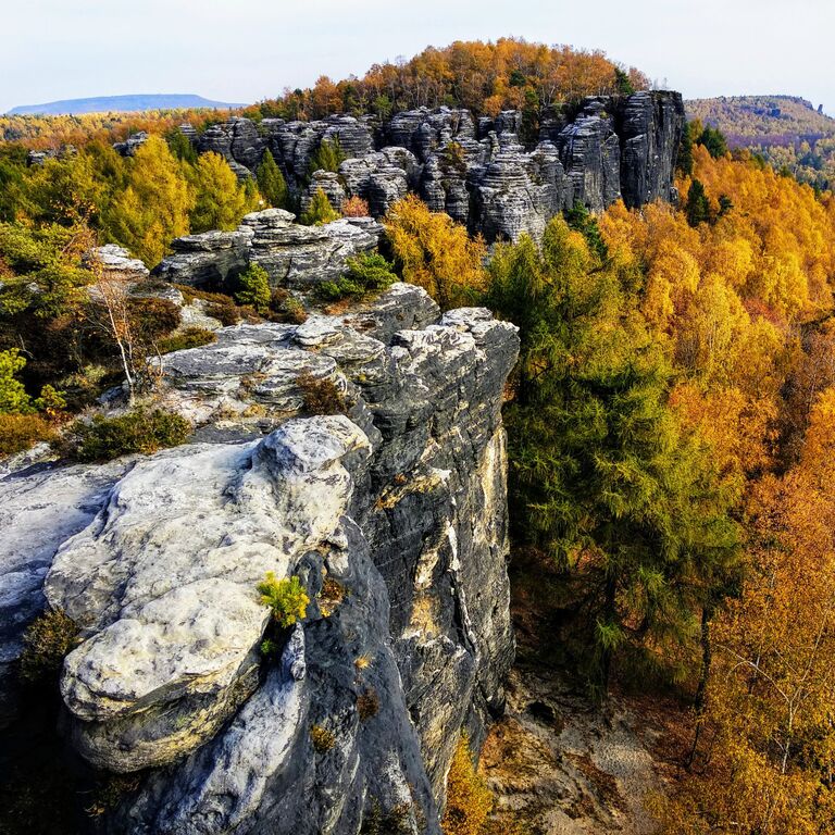 Discover Bohemia Tours