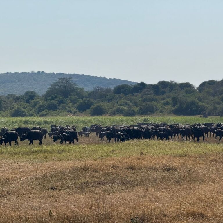 www.uniqueafricaventures.com