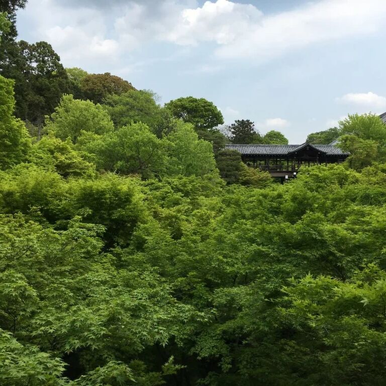 Cycle Kyoto