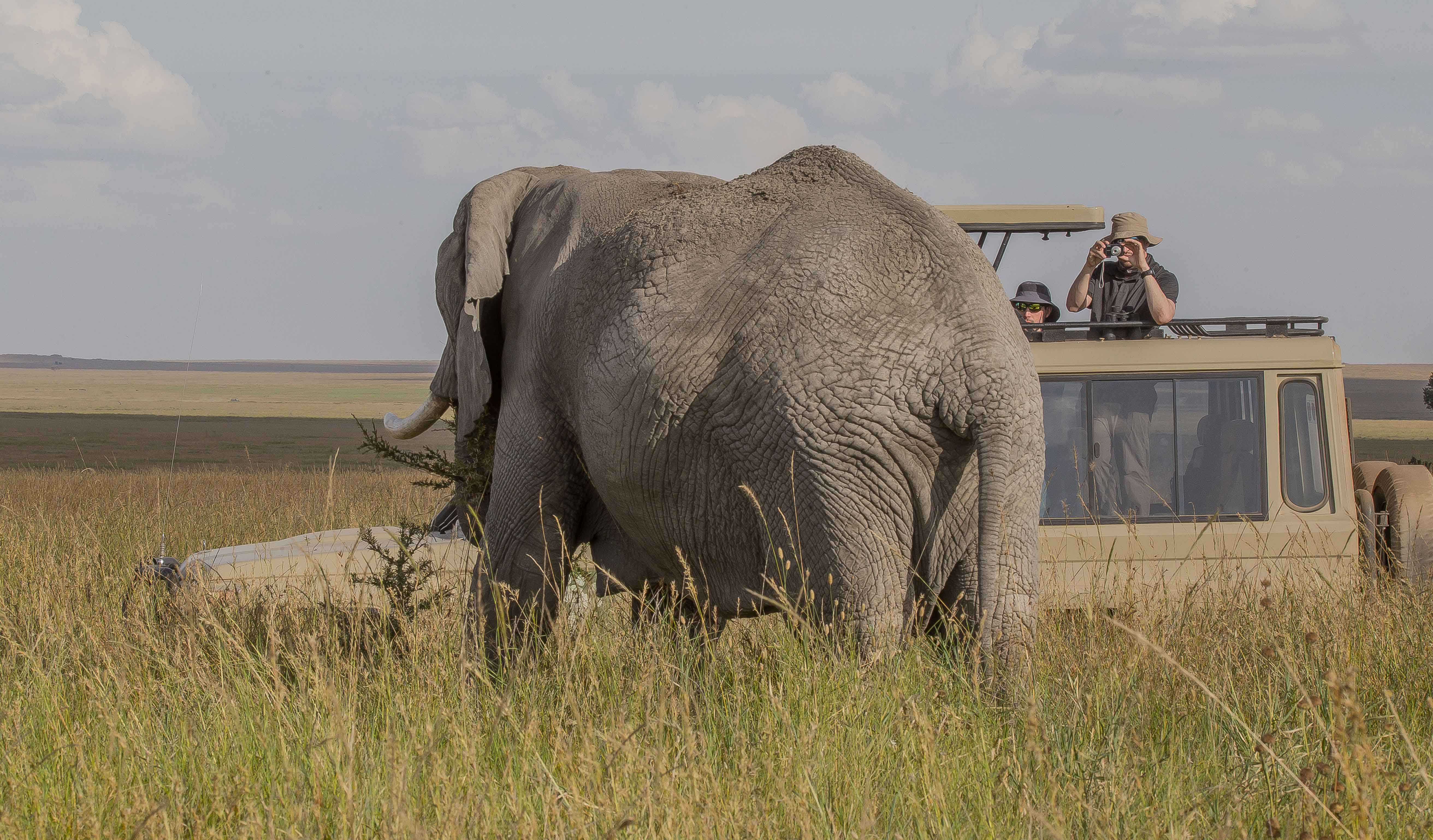 Migration Venture Africa