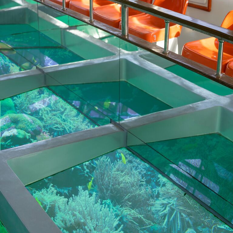 Coral Vision Boat