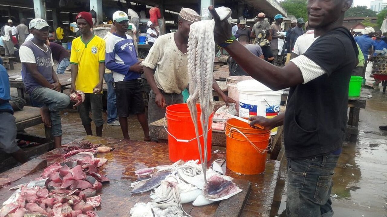 Worldlink Travel and Tours LTD