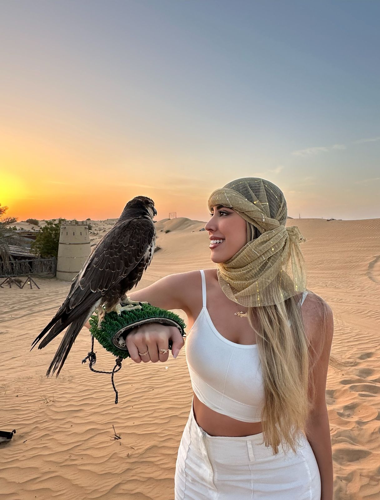 RISE AND SHINE TOURISM