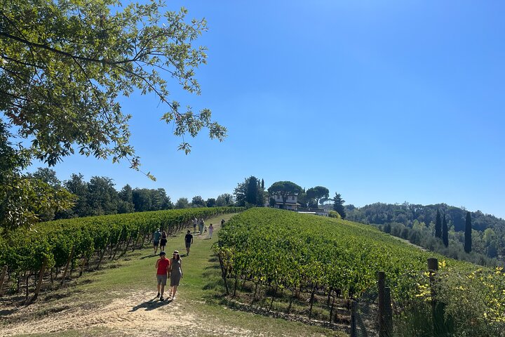 AGRITURSMO TENUTA CHIUDENDONE