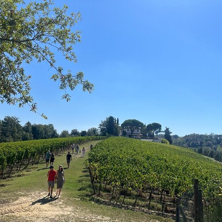 AGRITURSMO TENUTA CHIUDENDONE