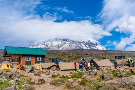 Kilimanjaro Lemosho route 7 Days (6nights on the Mountain 2 nights in hotel).