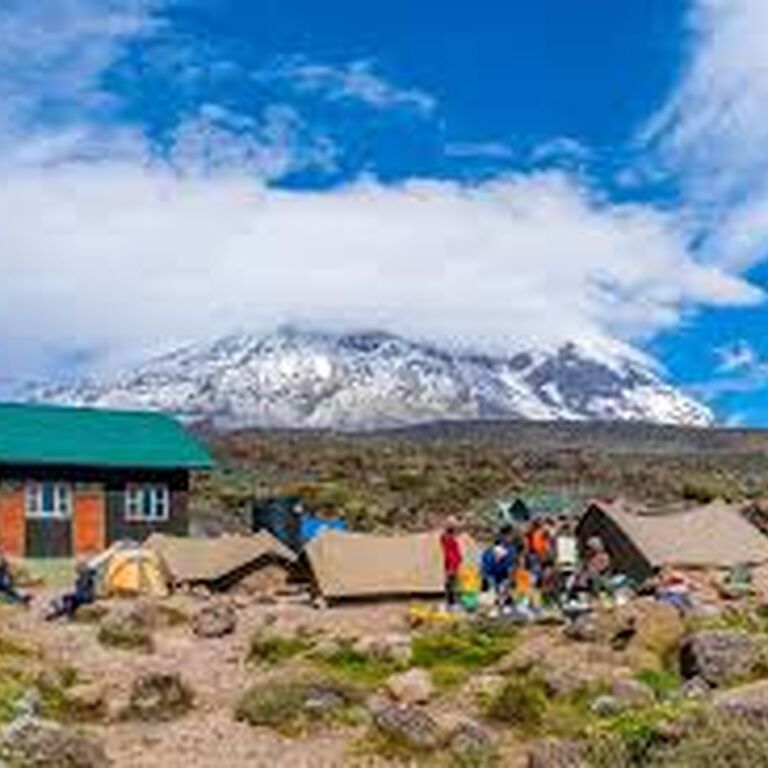 Kilimanjaro Lemosho route 7 Days (6nights on the Mountain 2 nights in hotel).