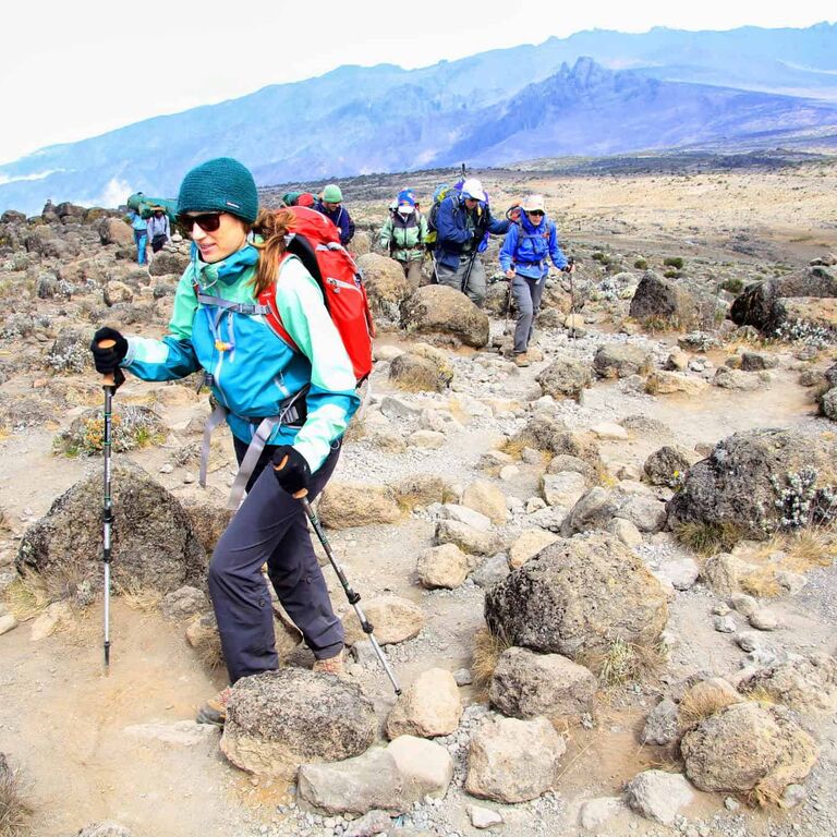Kilimanjaro Lemosho route 7 Days (6nights on the Mountain 2 nights in hotel).