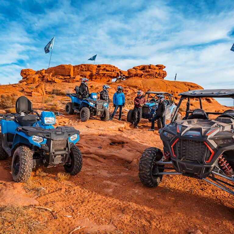 Mad Moose Rentals & Tours