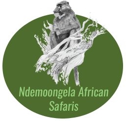 Ndemoongela African safaris cc